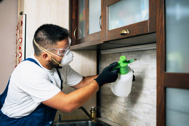 Best Pest Prevention Services  in Shields, MI