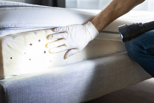 Best Exterminator Services  in Shields, MI